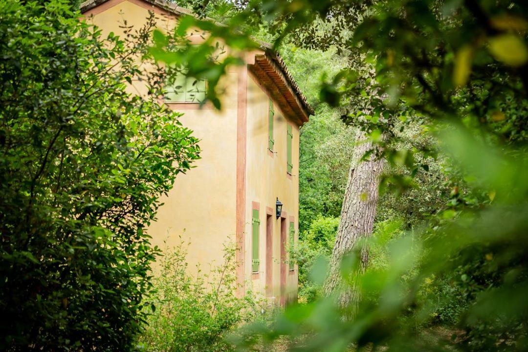 Chateau Martinay Hotel Carpentras Exterior foto